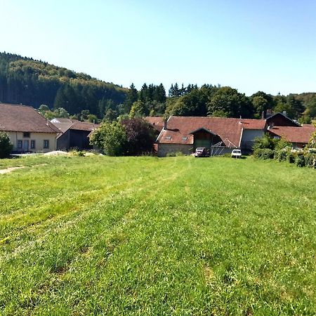 Gite Le Geleinfete II Vosges A Proximite De Gerardmer Herpelmont المظهر الخارجي الصورة